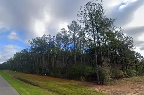 16010 Forest Mill Rd, Willis, TX 77378 photo 5