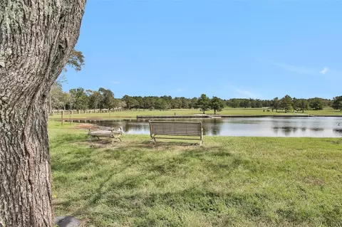 16010 Forest Mill Rd, Willis, TX 77378 photo 11