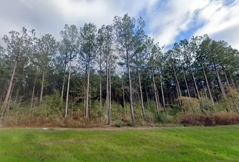 16010 Forest Mill Rd, Willis, TX 77378 photo 4