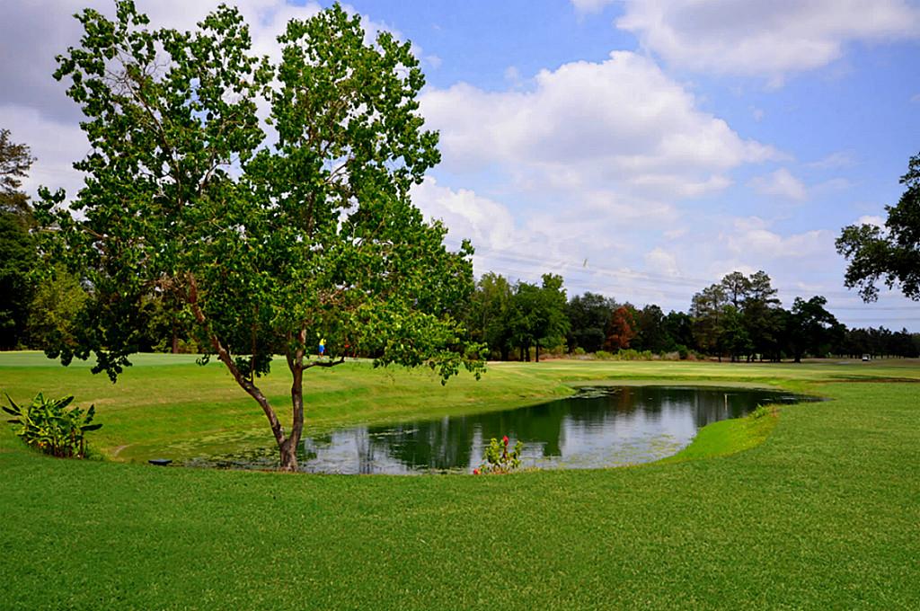 5930 Oakmoss Tr, Spring, TX 77379 photo 1