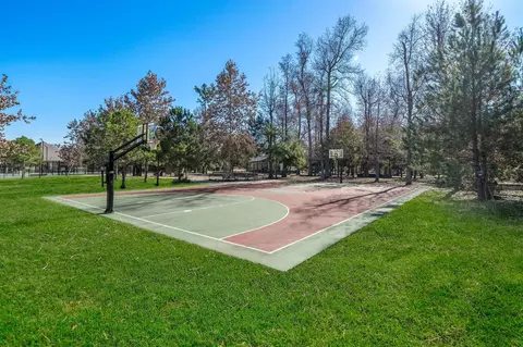 Other - 28491 Rose Vervain Dr, Spring, TX 77386 photo 9 of 11