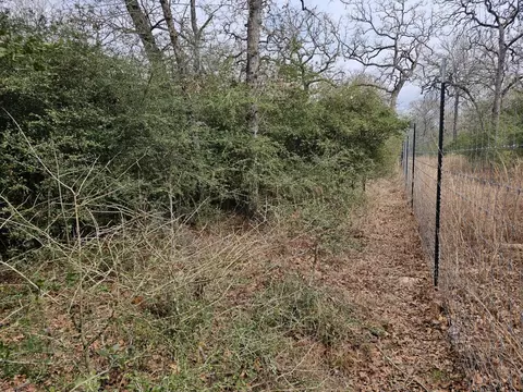 Other - tbd Jackrabbit Lane Ln, Bryan, TX 77808 photo 4 of 12