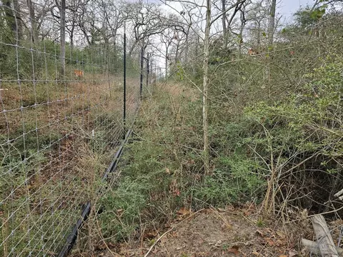 Other - tbd Jackrabbit Lane Ln, Bryan, TX 77808 photo 7 of 12