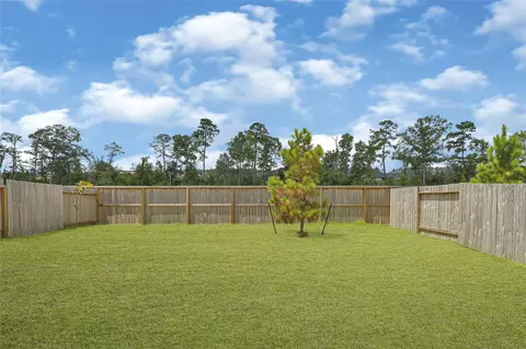 Exterior - 23708 Patchouli Terrace Dr, Splendora, TX 77372 photo 5 of 6
