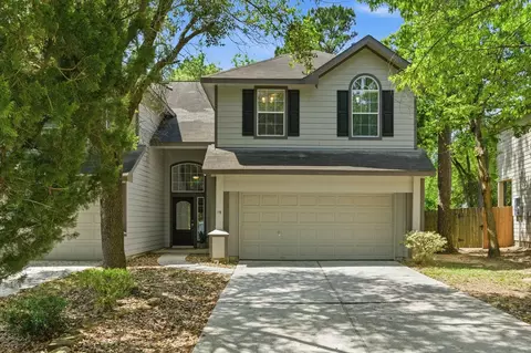 19 Aquiline Oaks Pl, The Woodlands, TX 77382
