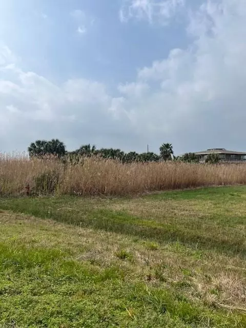 33 Lot 33 Palm Bch, Galveston, TX 77554