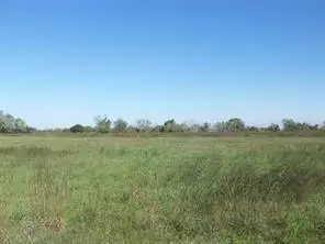 1703 Apache, Angleton, TX 77515 photo 4