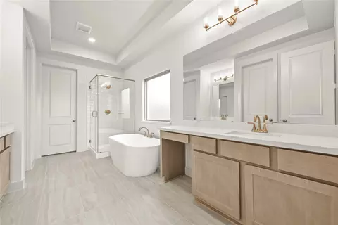 Bath - 4419 Ruby Garden Ct, Fulshear, TX 77441 photo 1 of 6