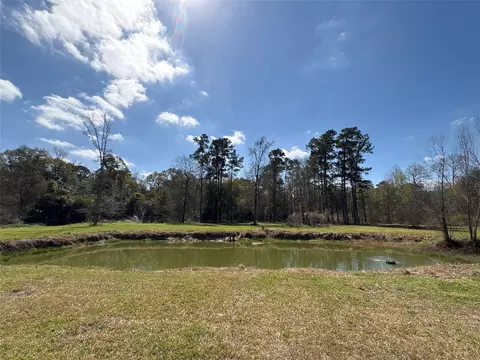 View/Area - 1821 E Beverly Dr, Shepherd, TX 77371 photo 1 of 1