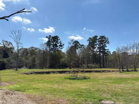 Other - 1821 E Beverly Dr, Shepherd, TX 77371 photo 2 of 9