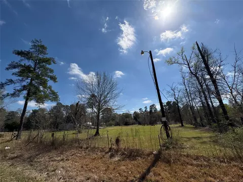 Other - 1821 E Beverly Dr, Shepherd, TX 77371 photo 9 of 9