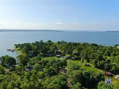 View/Area - 154 Brahman, Onalaska, TX 77360 photo 2 of 3