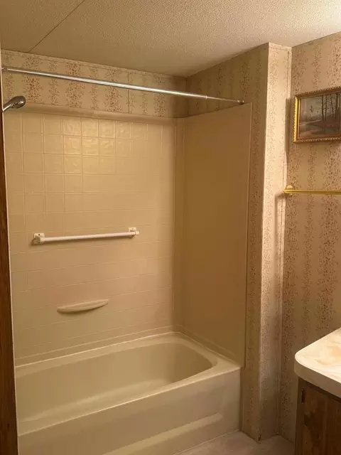 Bath - 64 Mockingbird Ln, Trinity, TX 75862 photo 2 of 3