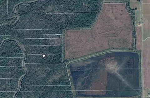 0 Jobe Wilson Rd, Anahuac, TX 77514