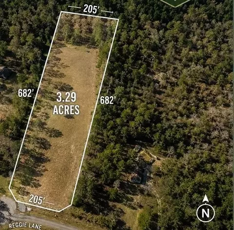 278 Reggie Ln, Trinity, TX 75862