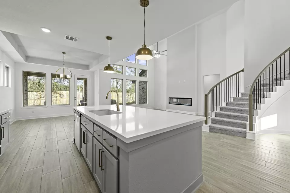 Other - 18807 Ivory Laurel Ct, Hockley, TX 77447 photo 1 of 4