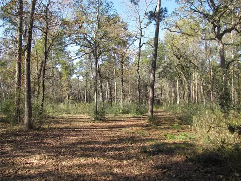 32602 Dogwood Trl, Magnolia, TX 77355