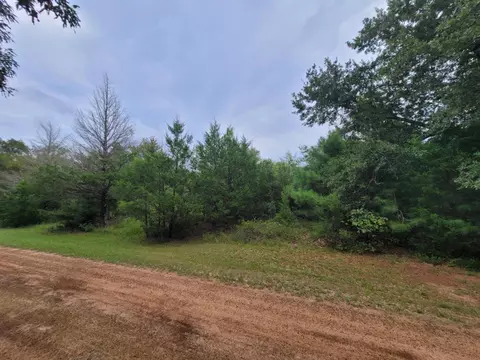 lot35 Redwood, Hempstead, TX 77445