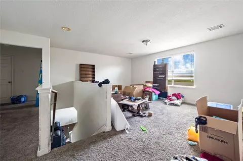 Other - 28832 San Bernard River Loop, Spring, TX 77386 photo 5 of 11