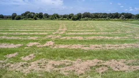 24659 Richards Rd, Hempstead, TX 77445 photo 6