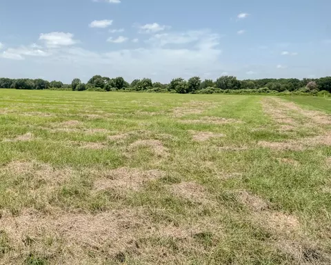 24659 Richards Rd, Hempstead, TX 77445 photo 8