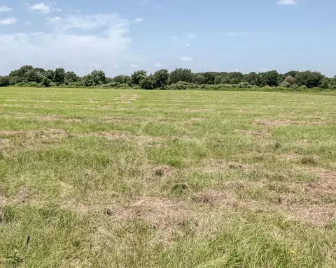 24659 Richards Rd, Hempstead, TX 77445 photo 7
