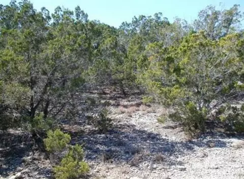 1650 Conestoga, Spring Branch, TX 78070