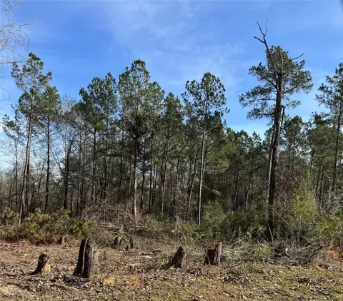 5850 Alfred Oaks Drive Dr, Beaumont, TX 77713