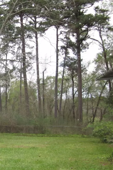 4018 E Mossy Oaks Rd, Spring, TX 77389 photo 9