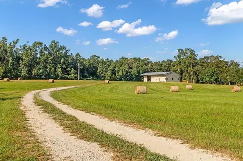 251 Roy Webb Rd, Huntsville, TX 77320