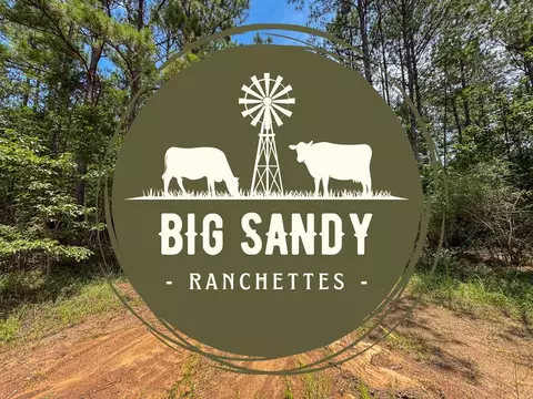 T-5 Benny Griffin Road, Dallardsville, TX 77351