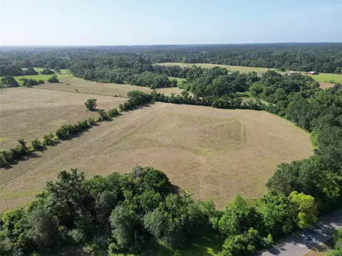 50 74 - Acres County Road 202, Plantersville, TX 77363