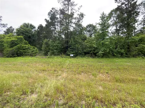 15841 Ridge Rock Rd, Willis, TX 77378