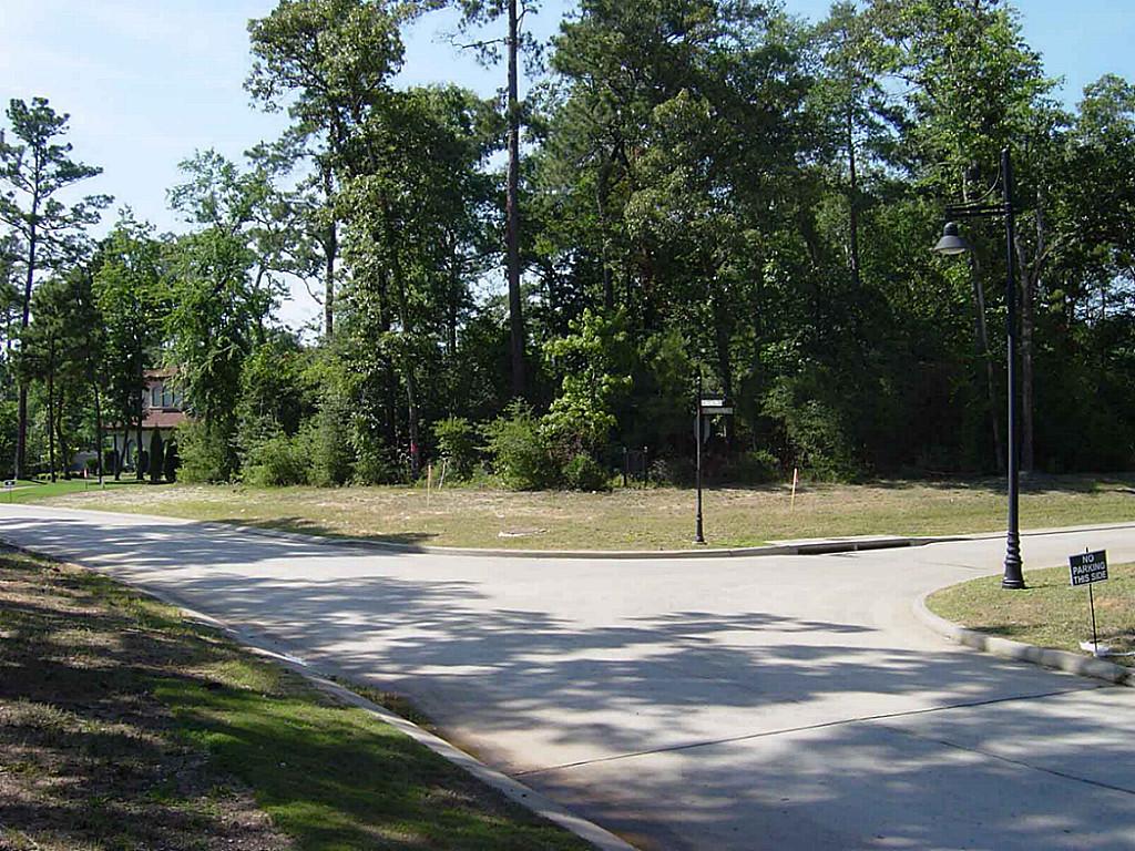 30 Winslow Way, Spring, TX 77382 photo 1