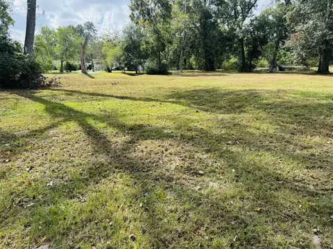 tbd Daisy, Dayton, TX 77535