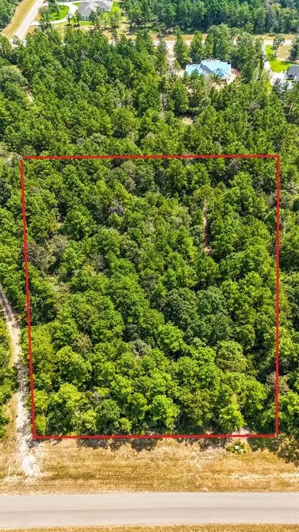 15666 Fire Sky Rd, Willis, TX 77378 photo 1