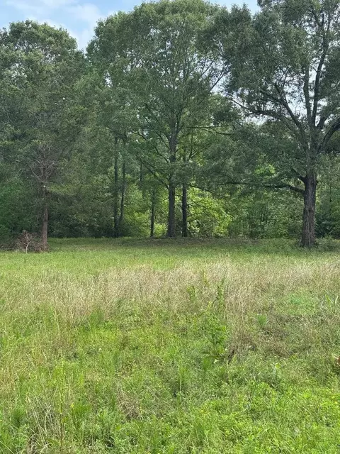 6370 Fm 1374 Rd, New Waverly, TX 77358