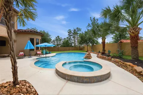 Exterior - 14 Post Shadow Estate Ct, Spring, TX 77389 photo 10 of 11