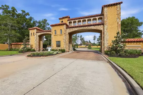 View/Area - 14 Post Shadow Estate Ct, Spring, TX 77389 photo 2 of 4
