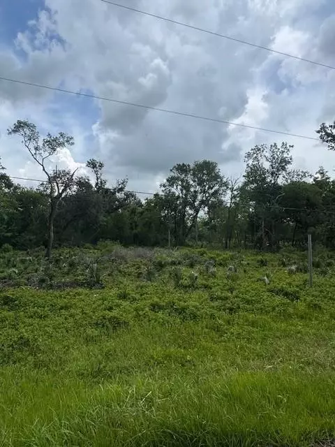0 M, Brazoria, TX 77486