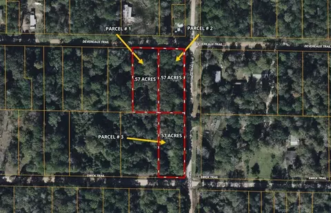 854 Devereaux Trl, Livingston, TX 77351