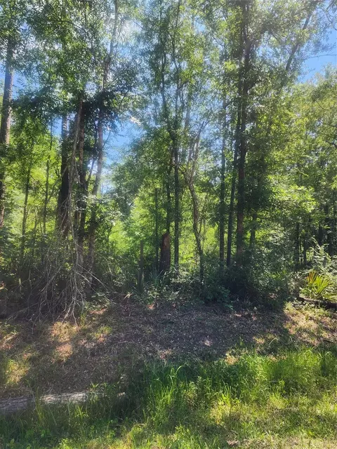 01 Cindy Ln, Shepherd, TX 77371 photo 4