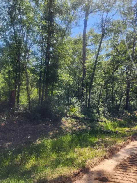 01 Cindy Ln, Shepherd, TX 77371