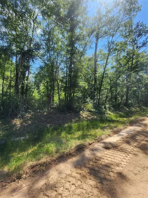 01 Cindy Ln, Shepherd, TX 77371 photo 3