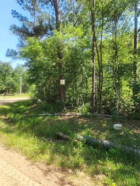 01 Cindy Ln, Shepherd, TX 77371 photo 2