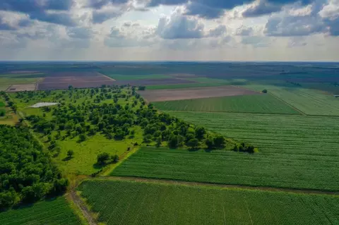 Other - 0000 Koym Rd, Beasley, TX 77417 photo 12 of 14