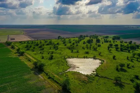 View/Area - 0000 Koym Rd, Beasley, TX 77417 photo 5 of 7