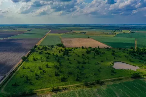 View/Area - 0000 Koym Rd, Beasley, TX 77417 photo 3 of 7