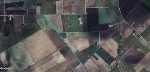 View/Area - 0000 Koym Rd, Beasley, TX 77417 photo 7 of 7