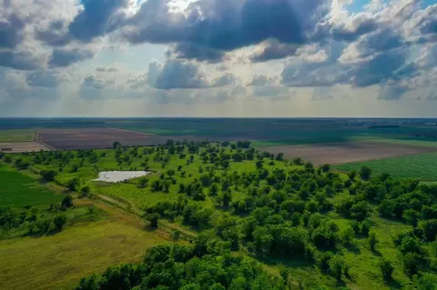 View/Area - 0000 Koym Rd, Beasley, TX 77417 photo 6 of 7